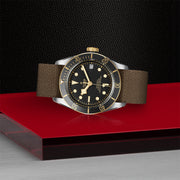 TUDOR Black Bay S&G 41mm - M79733N-0005 at Shreve & Co.