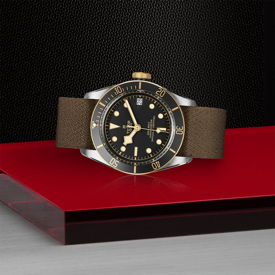 TUDOR Black Bay S&G 41mm - M79733N-0005 at Shreve & Co.