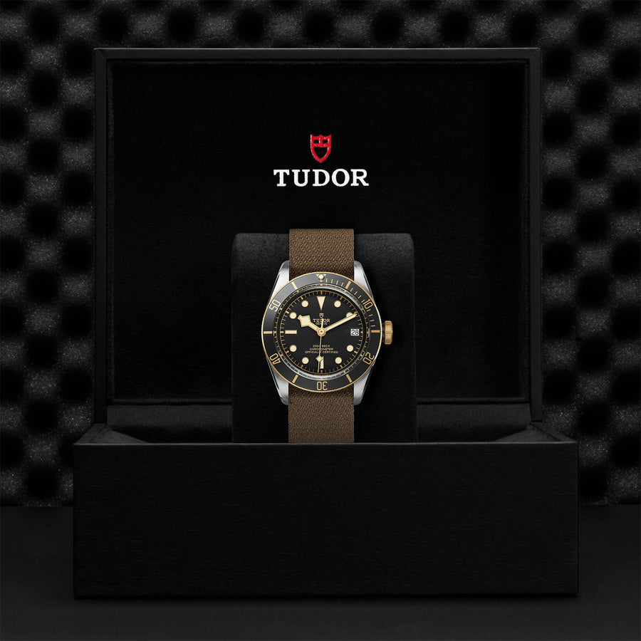TUDOR Black Bay S&G 41mm - M79733N-0005 at Shreve & Co.