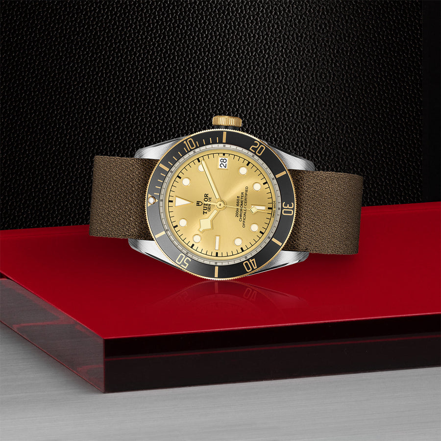 TUDOR Black Bay S&G 41mm - M79733N-0006 at Shreve & Co.