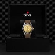 TUDOR Black Bay S&G 41mm - M79733N-0006 at Shreve & Co.