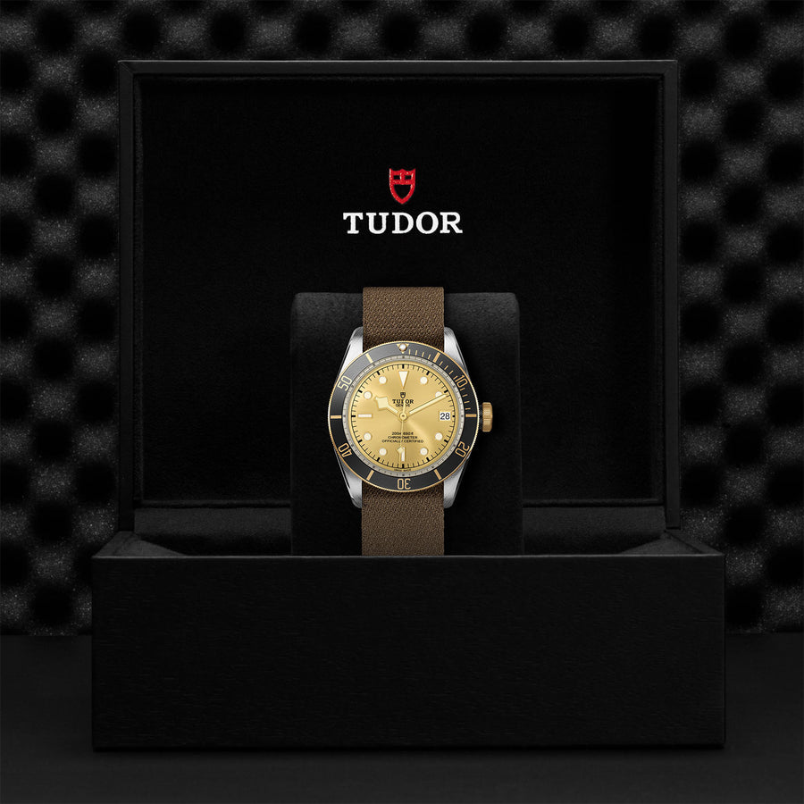 TUDOR Black Bay S&G 41mm - M79733N-0006 at Shreve & Co.