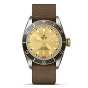 TUDOR Black Bay S&G 41mm - M79733N-0006 at Shreve & Co.