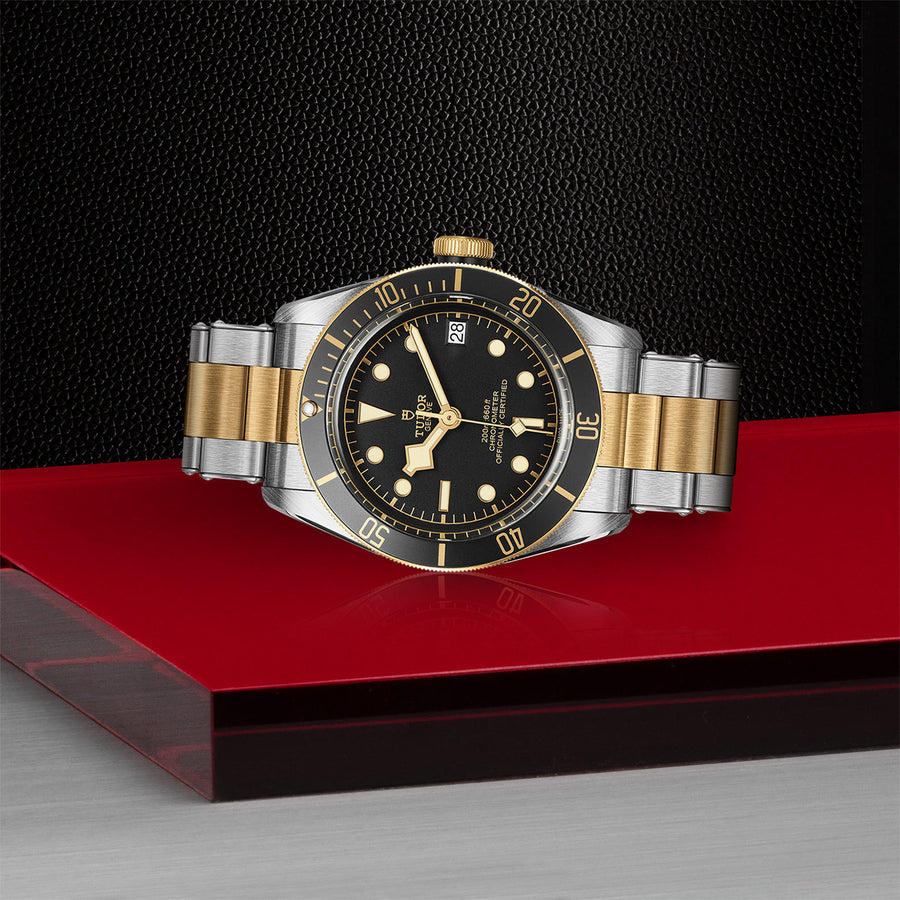 TUDOR Black Bay S&G 41mm - M79733N-0008 at Shreve & Co.
