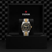 TUDOR Black Bay S&G 41mm - M79733N-0008 at Shreve & Co.
