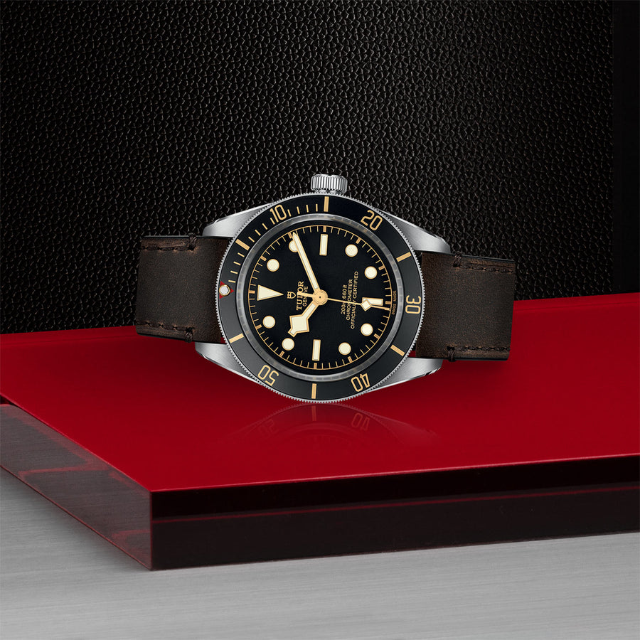 TUDOR Black Bay 58 39mm - M79030N-0002 at Shreve & Co.