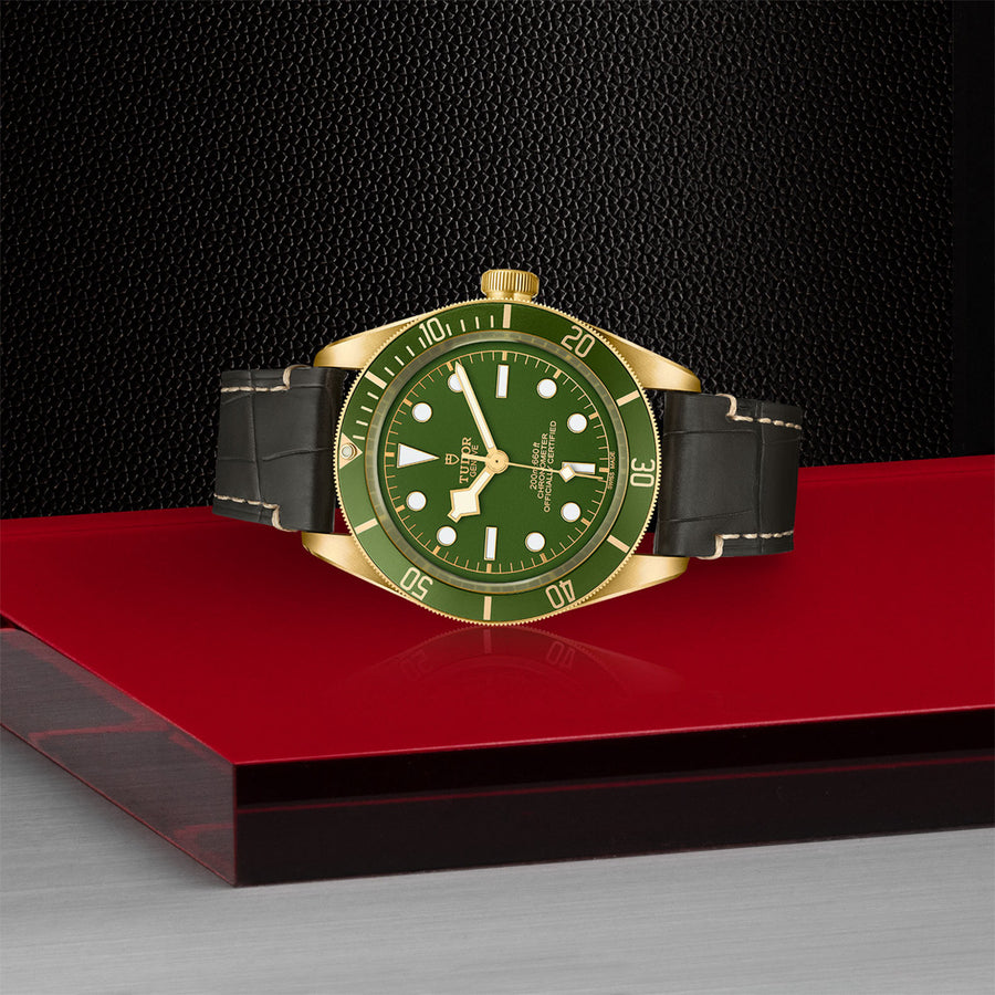 TUDOR Black Bay 58 18k 39mm - M79018V-0001 at Shreve & Co.