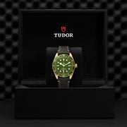 TUDOR Black Bay 58 18k 39mm - M79018V-0001 at Shreve & Co.