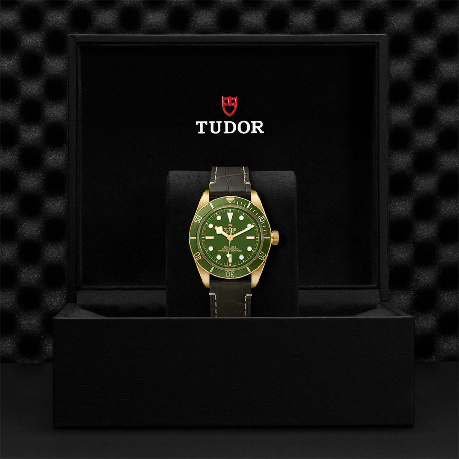 TUDOR Black Bay 58 18k 39mm - M79018V-0001 at Shreve & Co.