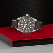 TUDOR Black Bay 58 925 39mm - M79010SG-0001 at Shreve & Co.