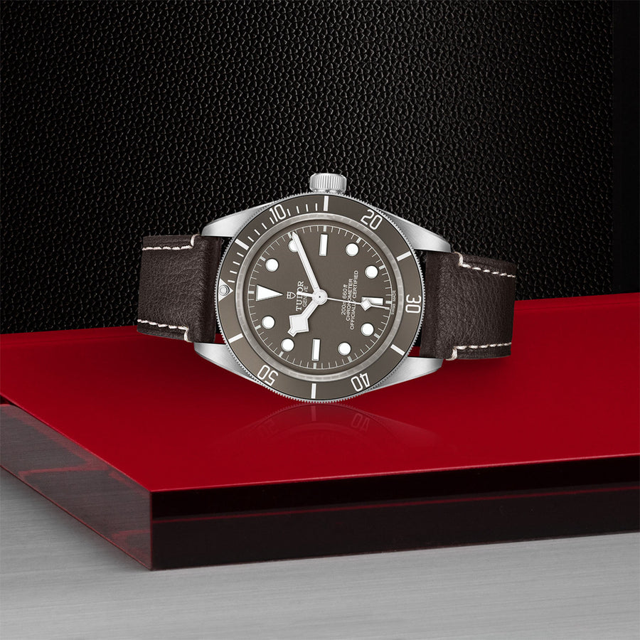 TUDOR Black Bay 58 925 39mm - M79010SG-0001 at Shreve & Co.