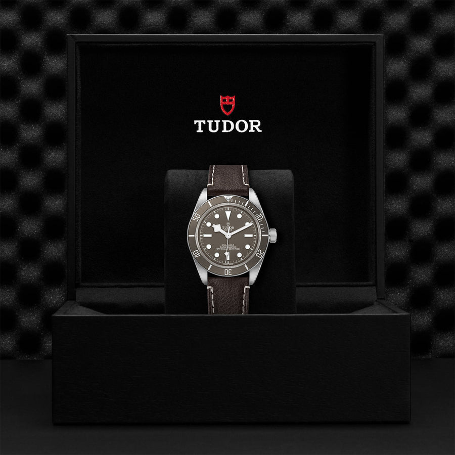 TUDOR Black Bay 58 925 39mm - M79010SG-0001 at Shreve & Co.