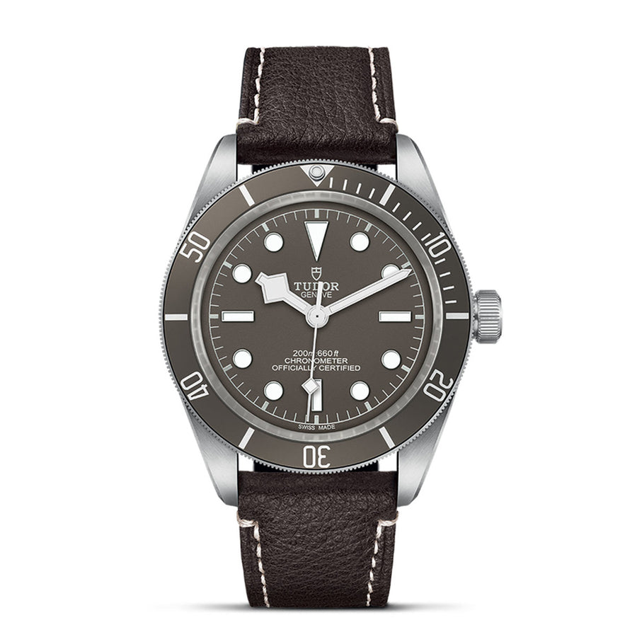 TUDOR Black Bay 58 925 39mm - M79010SG-0001 at Shreve & Co.