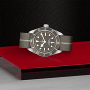 TUDOR Black Bay 58 925 39mm - M79010SG-0002 at Shreve & Co.