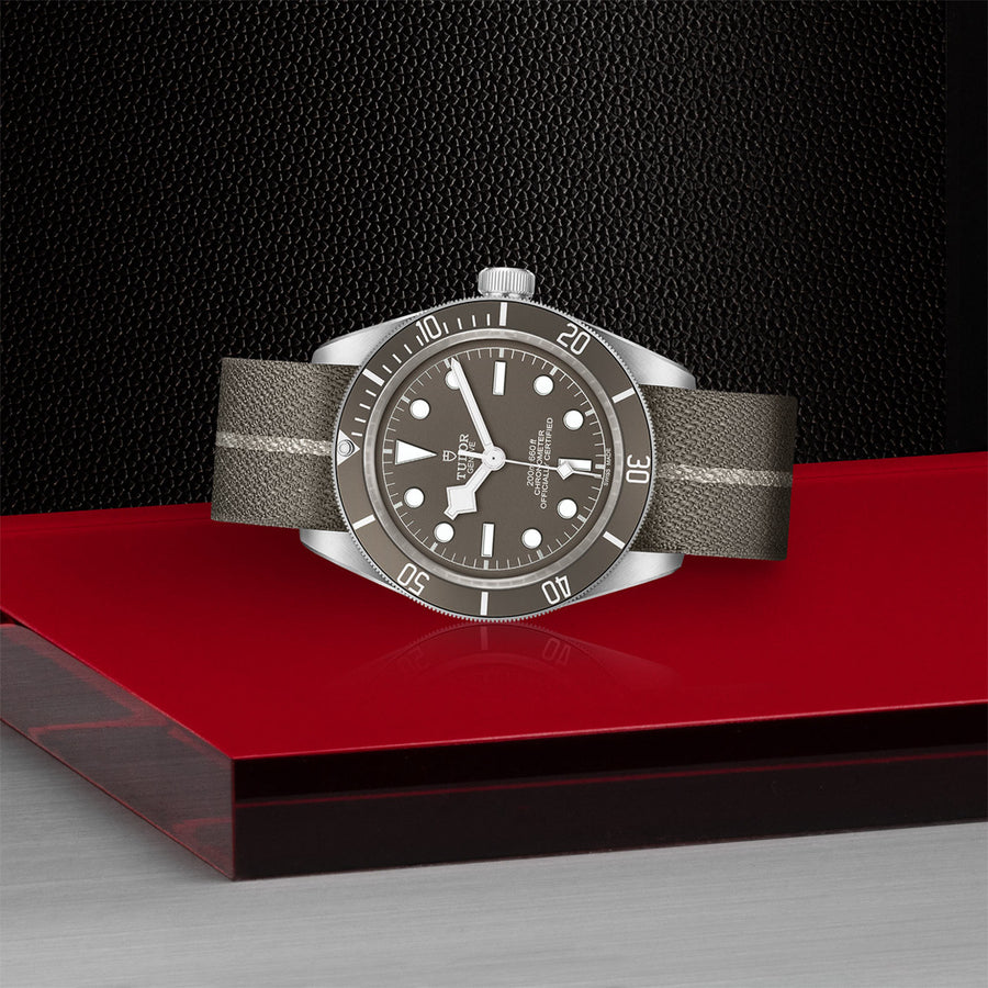 TUDOR Black Bay 58 925 39mm - M79010SG-0002 at Shreve & Co.