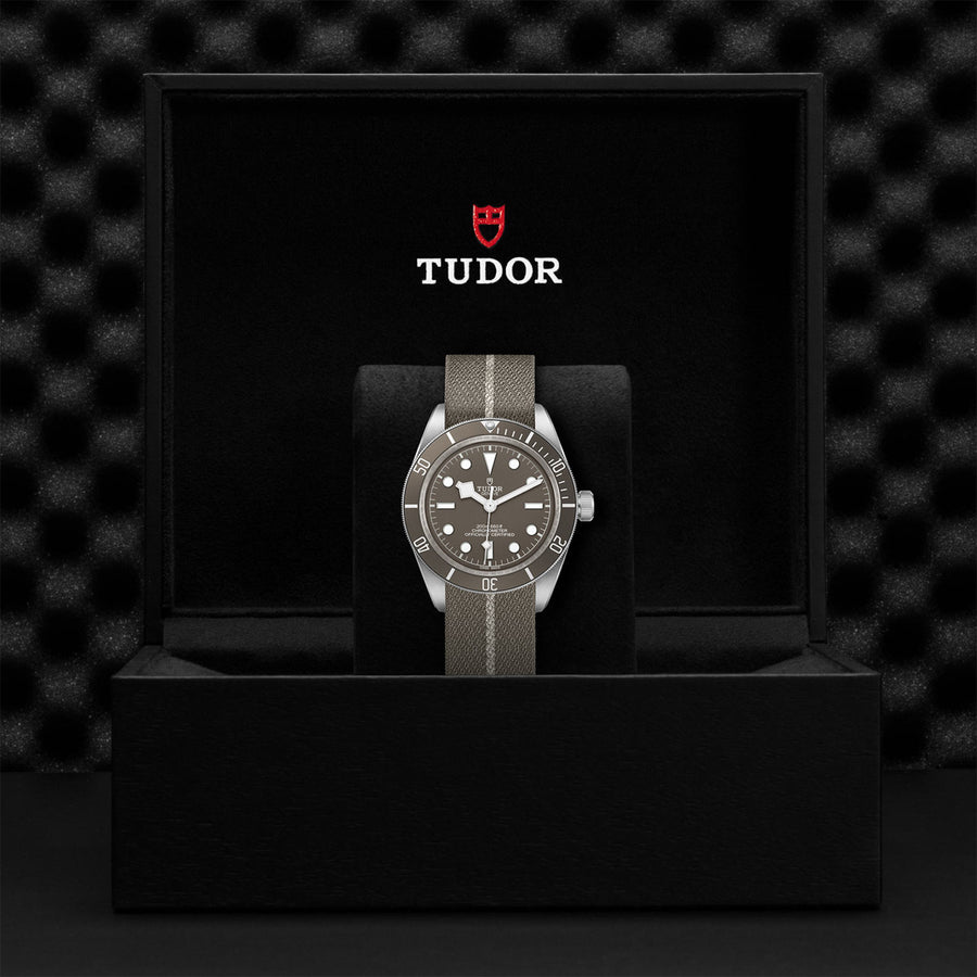 TUDOR Black Bay 58 925 39mm - M79010SG-0002 at Shreve & Co.